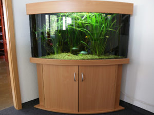 Kundenbecken